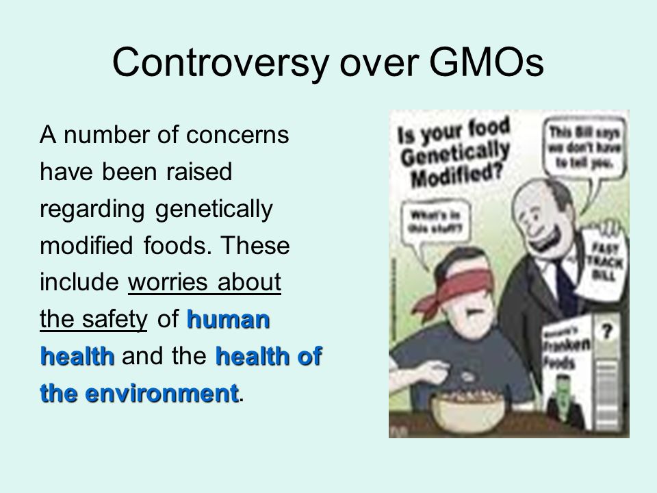 The growing concerns over the safety of gm foods